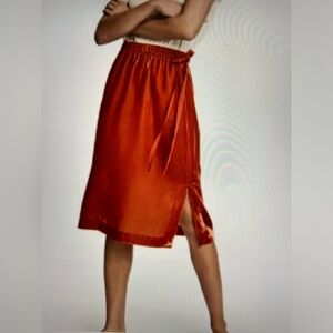 H&M Velour Skirt Size 6